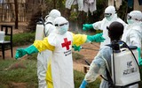 [ẢNH] Trước virus Corona, những dịch bệnh nào từng khiến WHO phải ban bố tình trạng khẩn cấp y tế toàn cầu?